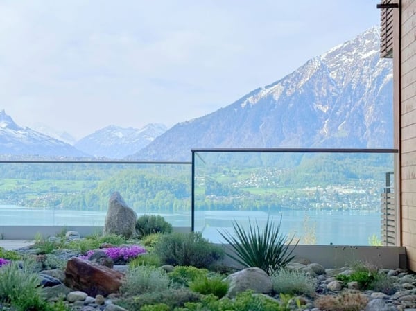 Bellevue Appartement 1.5 Zimmer-Wohnung 5