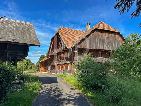 Gepflegtes Bauernhaus mit 3'397m2 Grundstück 2