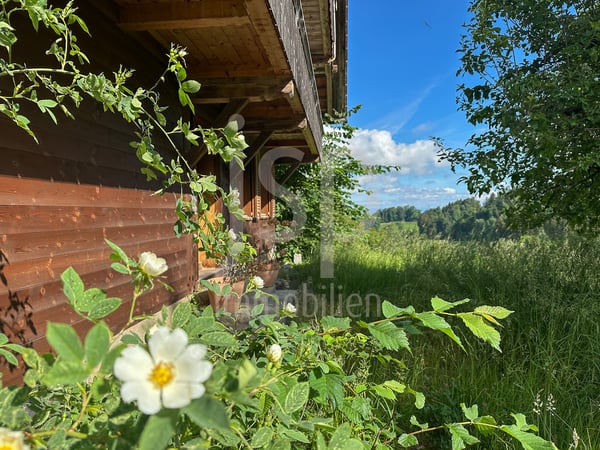 Gepflegtes Bauernhaus mit 3'397m2 Grundstück 3