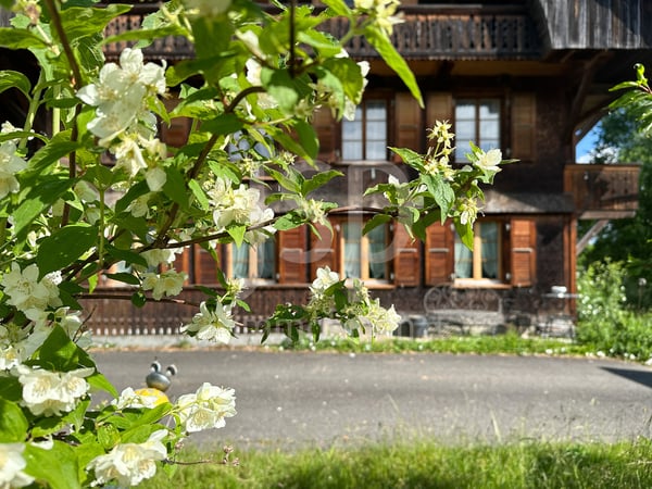 Gepflegtes Bauernhaus mit 3'397m2 Grundstück 4