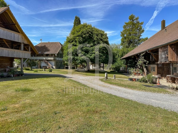 Der historische Brunnenhof in Grafenried (Grundstück von 5'431m2) 1
