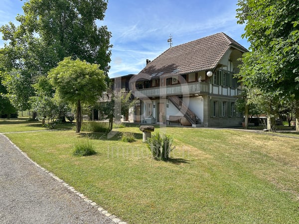 Der historische Brunnenhof in Grafenried (Grundstück von 5'431m2) 8