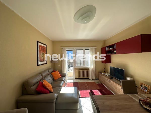 Cassarate: luminoso 2.5 locali con piacevole scorcio di lago 6