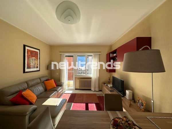 Cassarate: luminoso 2.5 locali con piacevole scorcio di lago 1