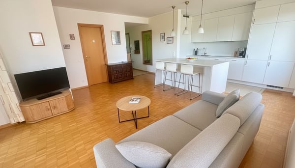 Viganello, comodo 1.5 locali con balcone e vicinanza ai principali servizi 7