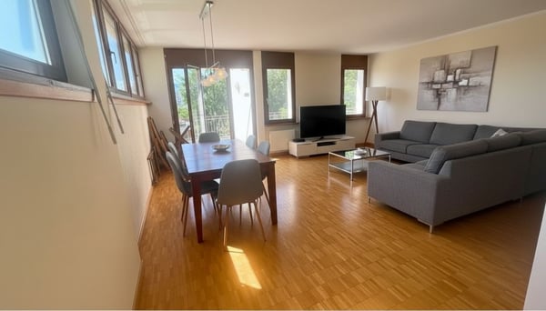 Viganello, comodo 1.5 locali con balcone e vicinanza ai principali servizi 2