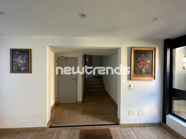 Cassarate: luminoso 2.5 locali con piacevole scorcio di lago 8