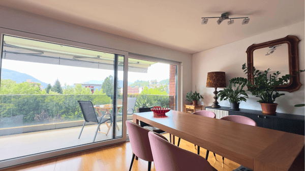 Agno – luminoso ed ampio 1.5 locali con terrazzo e posizione strategica 2