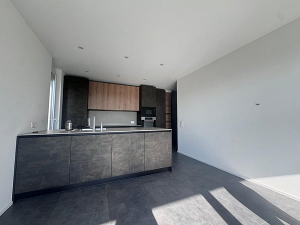 Nuova costruzione a San Pietro di Stabio: bifamiliare con spazio esterno privato 2