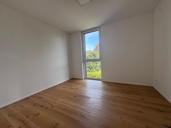 Nuova costruzione a San Pietro di Stabio: bifamiliare con spazio esterno privato 12