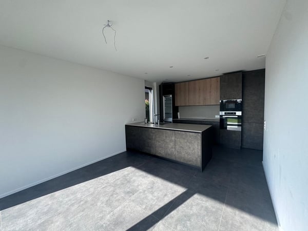 Nuova costruzione a San Pietro di Stabio: bifamiliare con spazio esterno privato 3