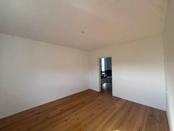 Nuova costruzione a San Pietro di Stabio: bifamiliare con spazio esterno privato 9