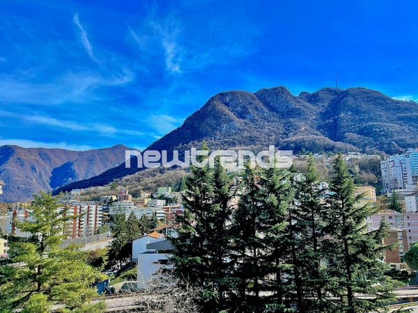 Lugano, servitissimo 3.5 locali completamente ristrutturato 3