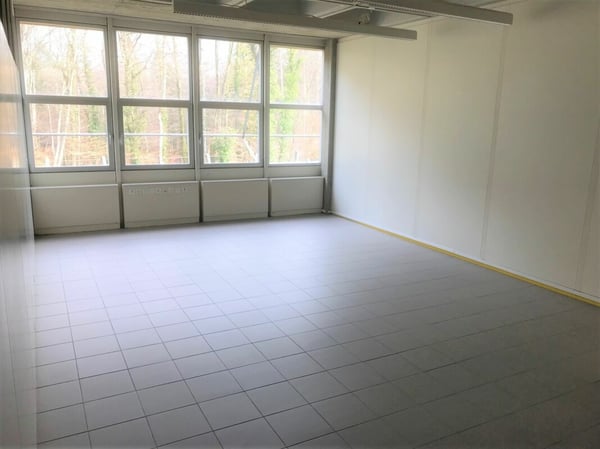 Grosszügige Gewerbe-/Büroräume zur individuellen Nutzung 6