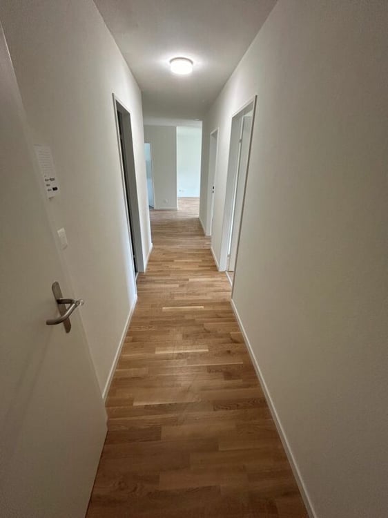 Sanierte 1.5-Zimmer-Wohnung 4