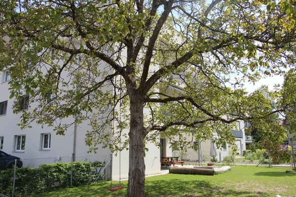 Moderne 1.5-Zimmer-Wohnung zu vermieten! 12