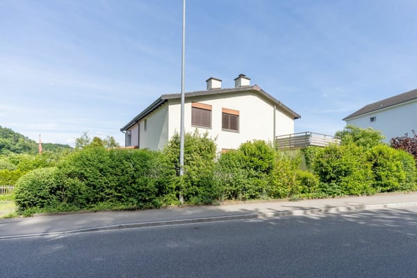 Charmantes Einfamilienhaus mit Garten nahe Kantonsspital 1