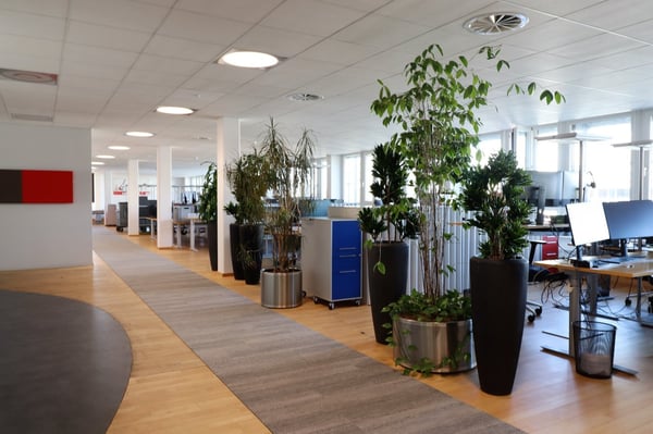 Freie Gewerbefläche von total 4'376 m² 5