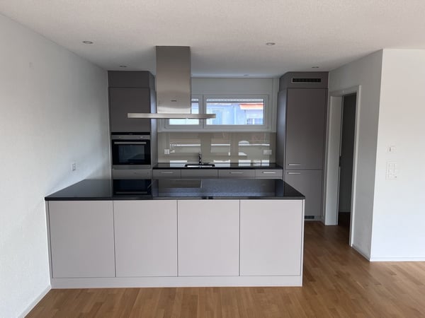 Traumwohnung mit riesiger Dachterrasse mit Abendsonne 2