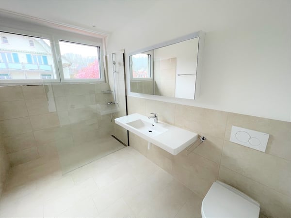 Moderne und sonnige 1.5-Zimmer Attika-Wohnung 4