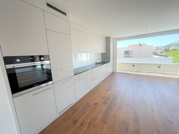 Moderne und sonnige 1.5-Zimmer Attika-Wohnung 3