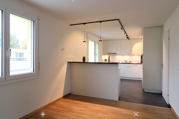 6-Zimmer-Attikawohnung mit grosser Terrasse 3
