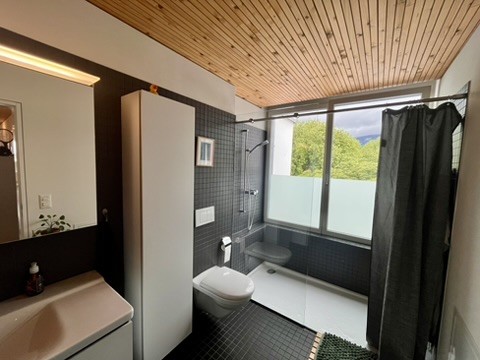 Über den Dächern von Solothurn 7