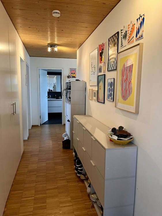 Über den Dächern von Solothurn 2