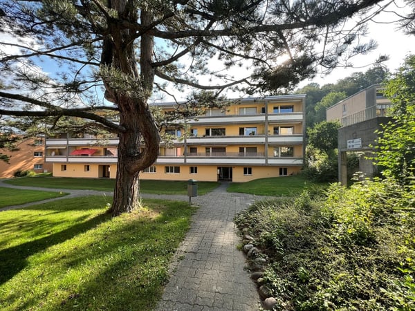 Moderne 2.5-Zimmerwohnung 1