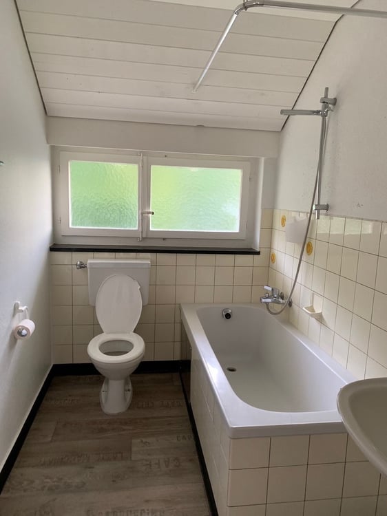 Wohnen nahe der Aare 3