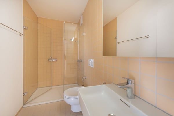 Suchen Sie ein neues Zuhause in Pieterlen? 9