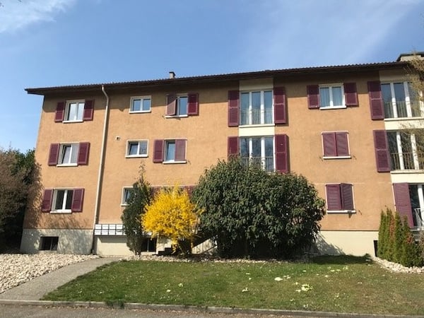 Gemütliches Studio zum Wohlfühlen 1