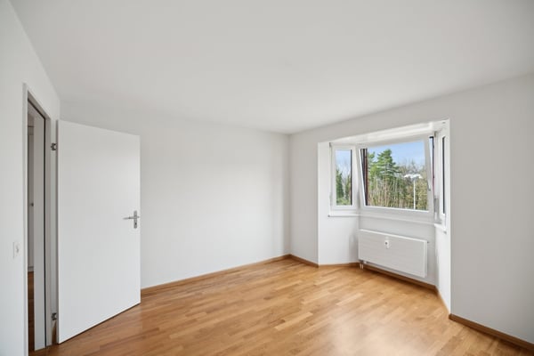 Etwas Grün für's Gemüt? 8
