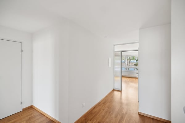 Etwas Grün für's Gemüt? 2