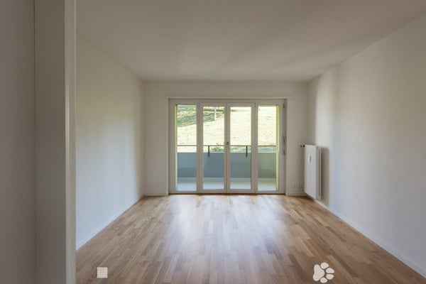 Lust auf frischen Wind? 6
