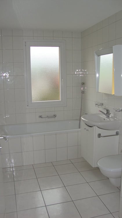 Charmant 3.5 pièces avec terrasse dans un quartier très familial 6