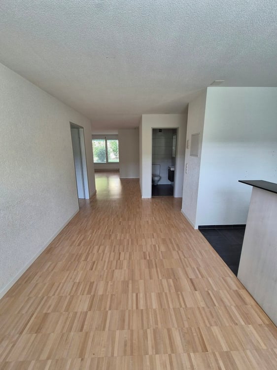 Moderne 4.5 Zimmerwohnung mit grosszügiger Terrasse 3