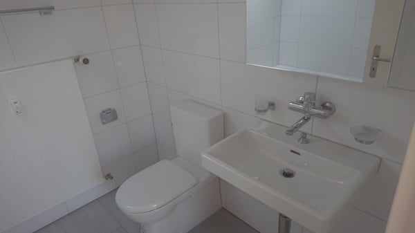 Tolle 2.5-Zimmer-Dach-Wohnung mit Nebenraum zu vermieten 6