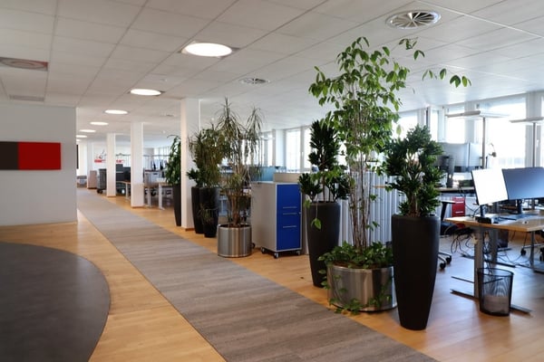Freie Gewerbefläche von total 4'376 m2 10