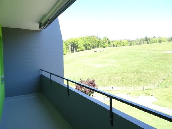 4-Zimmerwohnung im Grünen - Appartement de 4 pièces 8