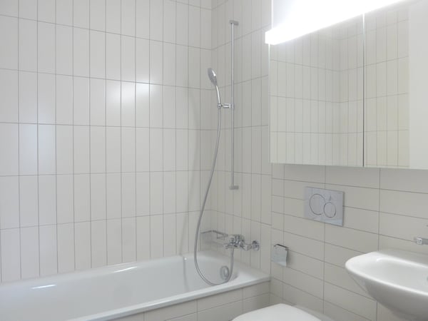 6.5-Zimmer-Attikawohnung mit grosser Terrasse 9