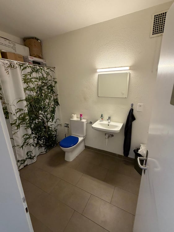 Modernes Büro an zentraler Lage in Zürich Altstetten 4
