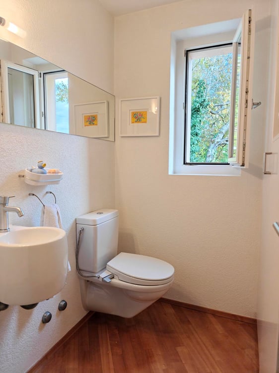 Möblierte 2.5-Zimmer-Attikawohnung mit traumhafter Terrasse 7