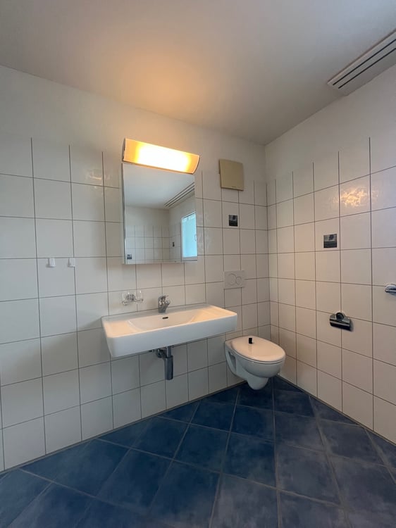 Ihr neues Zuhause in Uzwil 8