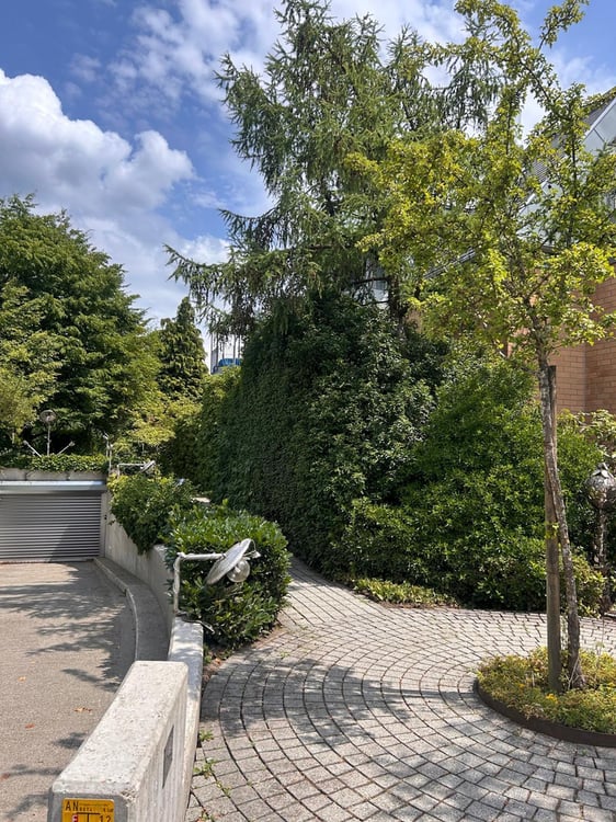 Freier Aussenparkplatz - jetzt 1 Monat mietzinsfrei 15