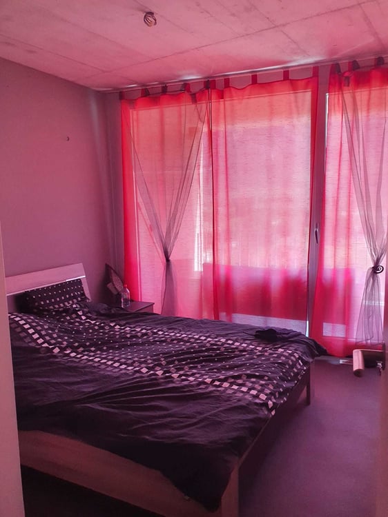 Magnifique logement pour location 4