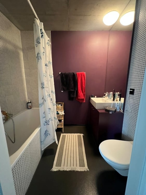 Superbe appartement au coeur de Vissigen ! 7