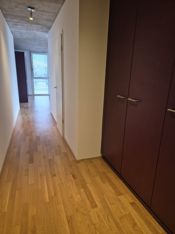 Lumineux logement dans le quartier de Vissigen 5