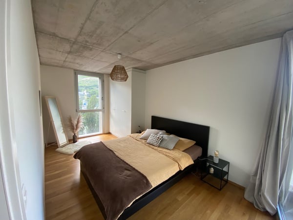 Charmant appartement de 1.5 pièces au coeur de Vissigen 3