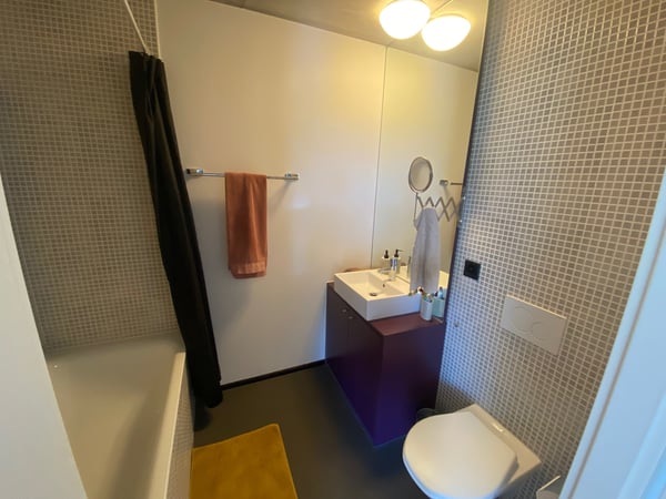 Charmant appartement de 1.5 pièces au coeur de Vissigen 6